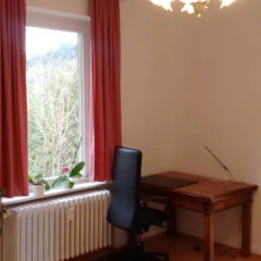 Apartment Baden - Bild 3