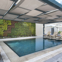 DAMAC Maison Cour Jardin thumbnail 5