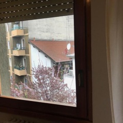 Hostel 3 - Bild 7