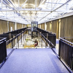 Hotel De Hallen - Bild 23