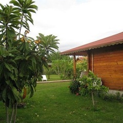 Çirali Almira Bungalow - Bild 12