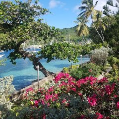 Gingerbread Suites in Bequia, St. Vincent and the Grenadines from 164$, photos, reviews - zenhotels.com photo 18