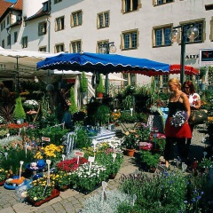 Scandic Stuttgart Europaviertel (Neueröffnung/Reopening) - Bild 20