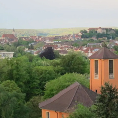 Epple in Tubingen am Neckar - Bild 9