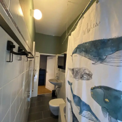 Room-spacious Room in Coliving Apartment - Bild 6