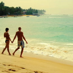 Tartaruga Hotel thumbnail 18