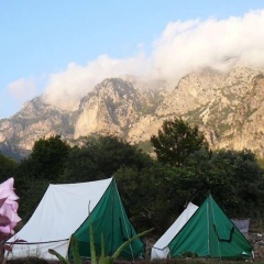 Asiyan Kamp - Bild 3
