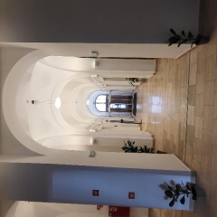 D50 - Bild 15