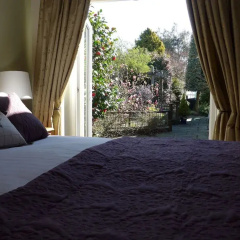 The Olive Tree B&B thumbnail 4