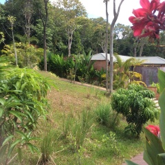 Alanta Villa - Bild 7