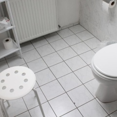 Adler - Bild 7