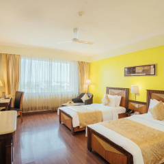 The Piccadily Lucknow thumbnail 29
