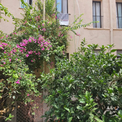Hotel Palermo Barcelona - Bild 1