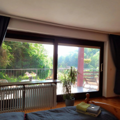 Ferienwohnung Rhododendron - Natur pur Kinderparadies - Bild 6
