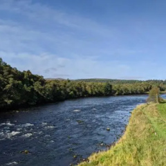 The Snug in Grantown thumbnail 9