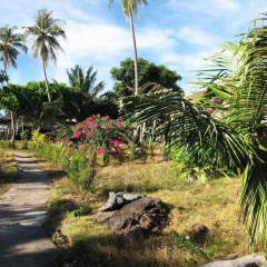 HIP Seaview Resort at Phi Phi - Bild 13
