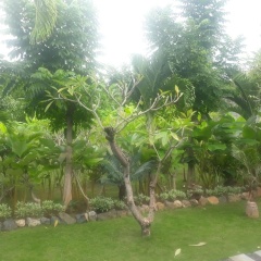 Pondok Wisata Sartaya 2 - Bild 20