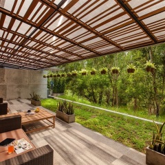 No.36 Phuket - Bild 16