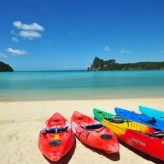 Phi Phi Twin Palms Bungalows - Bild 15