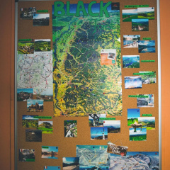StayInn Hostel und Gastehaus - Bild 9