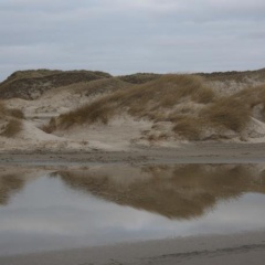Hotel Anka - Bild 15