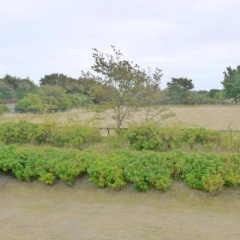 Schlottmann - Bild 13