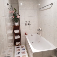 Apartment im Luisenviertel - Grün - Bild 8
