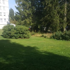 Hahnenklee Ferienpark 7-611 - Bild 10