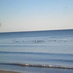 Woodgate Beach Houses thumbnail 2