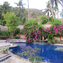 The Watergarden - Bild 12