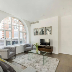 Oxford Circus Penthouses thumbnail 13