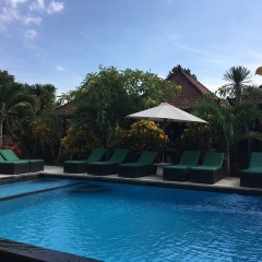 Cassava Bungalow - Bild 10