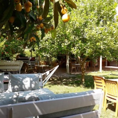 Sunset Boutique Hotel & Apartments - Bild 8