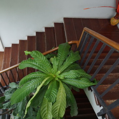 Thongtha Residence - Bild 15
