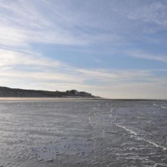 WoogeTraum - Traumwohnung mit Meerblick direkt am Strand - Bild 9