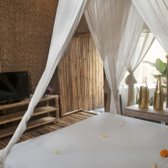 DD Ubud Jungle Villa - Bild 2