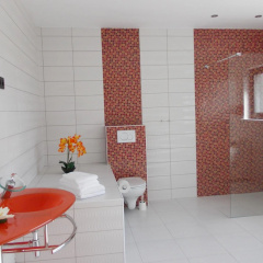 Hotel Phenix - Bild 10