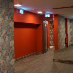 Mycologne - Bild 12