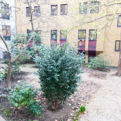 Modern 2 bed flat in historic building - Bild 9
