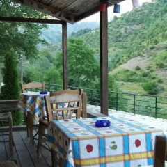 Guesthouse Kasaria thumbnail 7