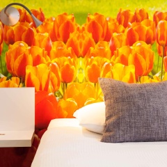 ibis Styles Amsterdam City - Bild 10