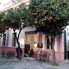 Hotel Palacio Alcazar - Bild 1