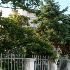 Guest House Lichevi thumbnail 5