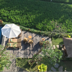 Byasa Ubud - Bild 14
