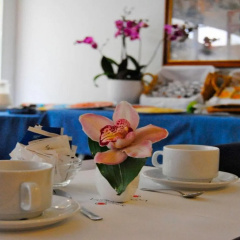 Hotel Diplomatic - Bild 13