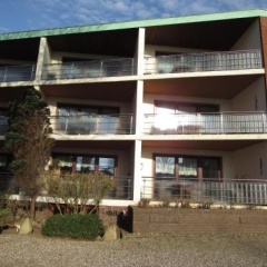 Silbermöwe - Bild 1