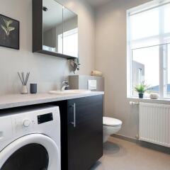 Vesturgata in Reykjavik, Iceland from 175$, photos, reviews - zenhotels.com photo 5