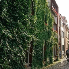 Familienhotel Weimar - Bild 17