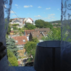 Pension Schuhlstrasse Dudweiler - Bild 10