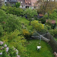 Pension Birgit - Bild 16